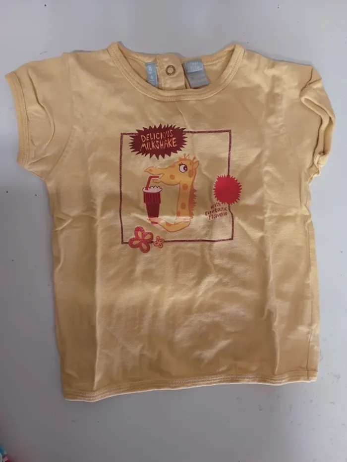 Lot t-shirt 18 mois - photo numéro 5
