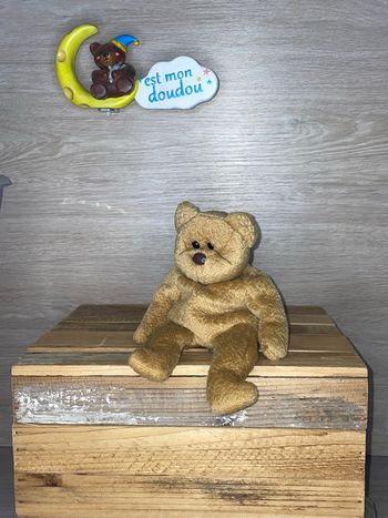 TY22 doudou ours 🐻 ty