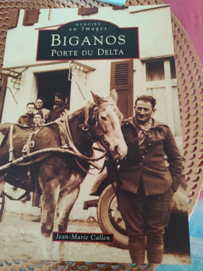 Biganos, porte du delta