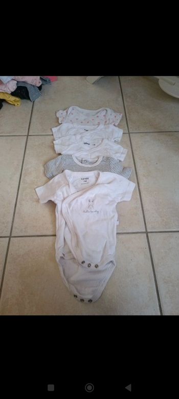 Lot bodies manches courtes