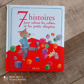 Livre 7 histoires pour calmer les colères et les petits chagrins