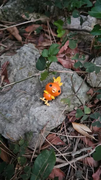 Super figurine Pokemon Nintendo Poussifeu