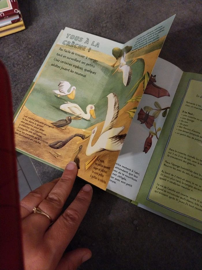 Kididoc. Les bébés animaux - photo numéro 6