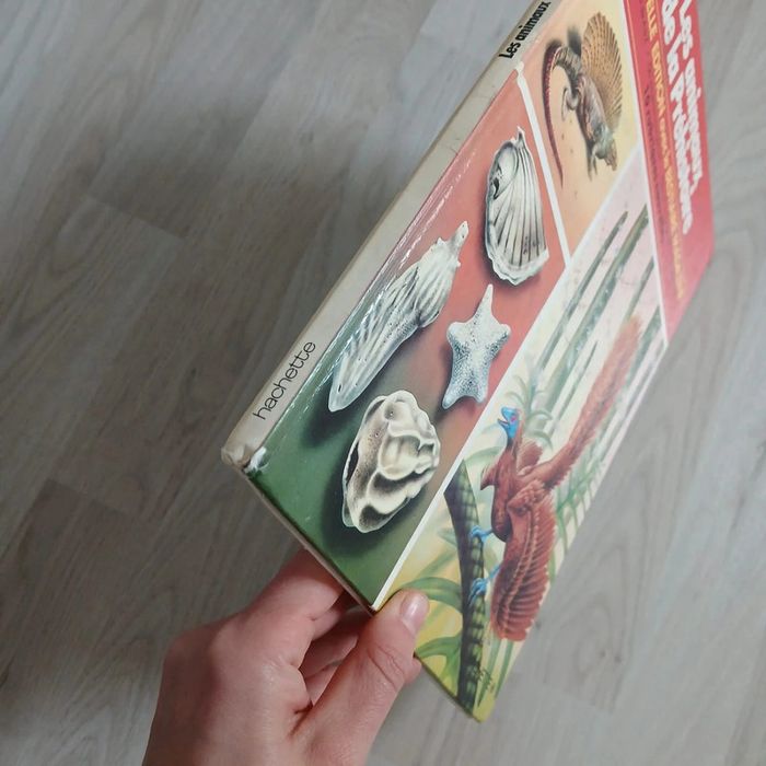 Livre préhistoire - photo numéro 2