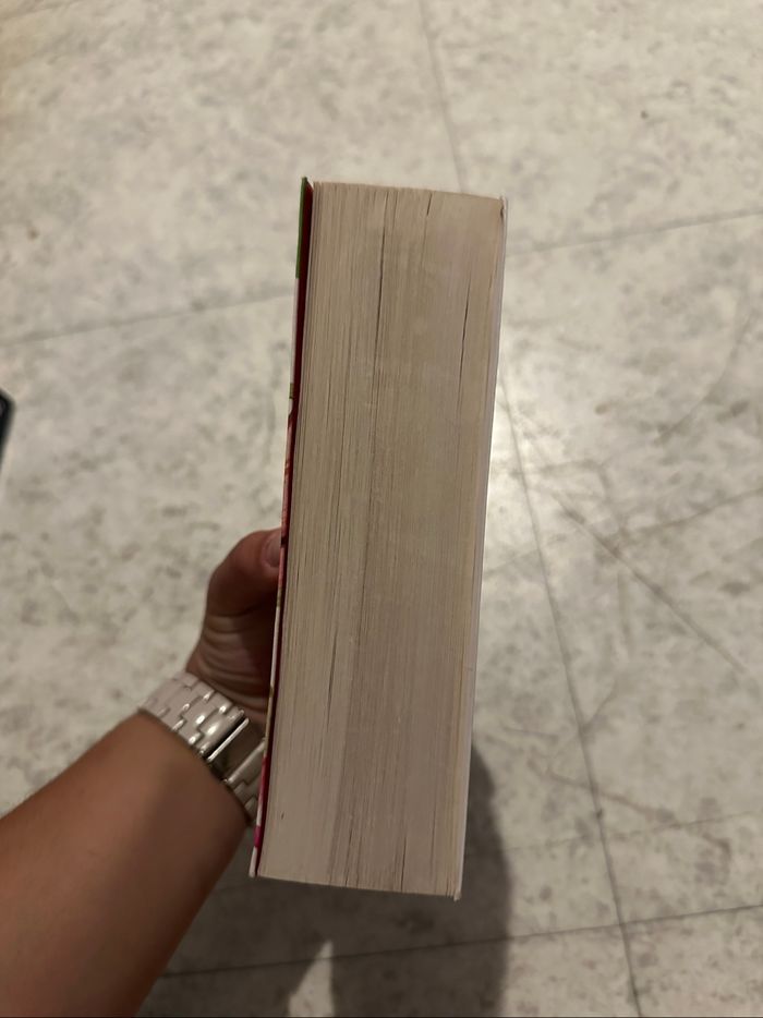 Livre Meri Jaan - Océane Ghanem - photo numéro 2
