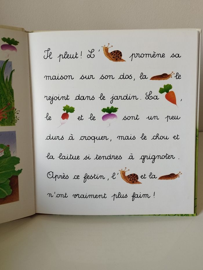 Livre Je lis avec les animaux du jardin - photo numéro 7