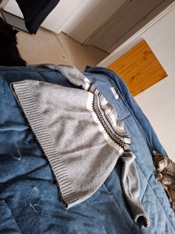 Pull femme
