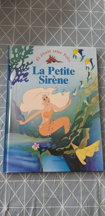 Livre grand format