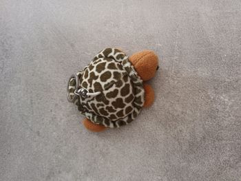 Porté clé tortue