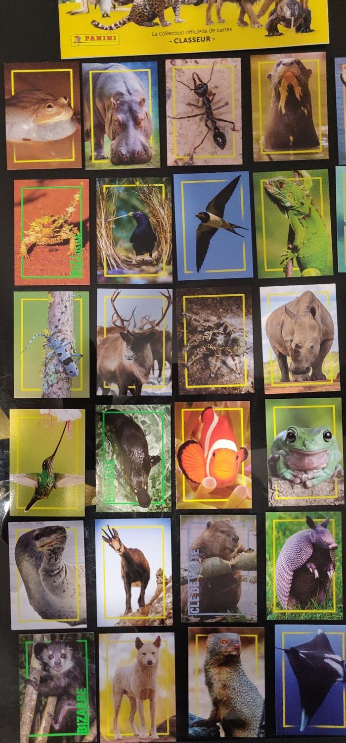 Lot classeur / album incroyables animaux + 64 cartes - photo numéro 2