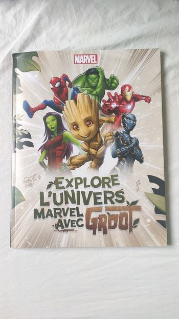 Explore l'univers Marvel avec groot Leclerc