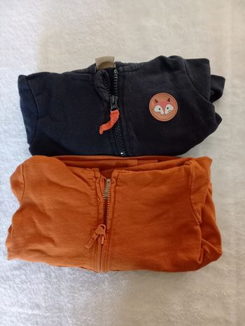 2 vestes à capuches