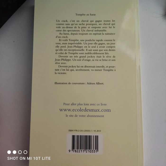 Tempête au haras - photo numéro 2