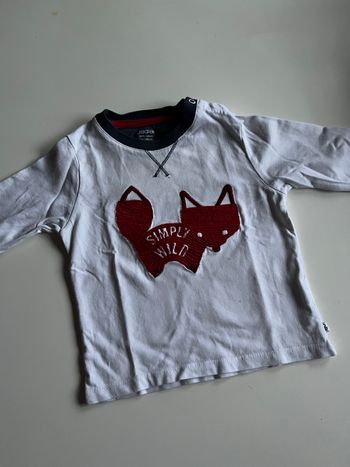 Pull fin renard bébé garçon