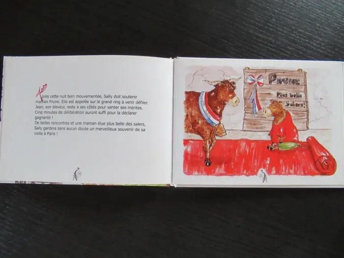 Livre Sally à la recherche de madame T Claire Ruiz Jordanne Couderc Globe éditions jeunesse - photo numéro 4