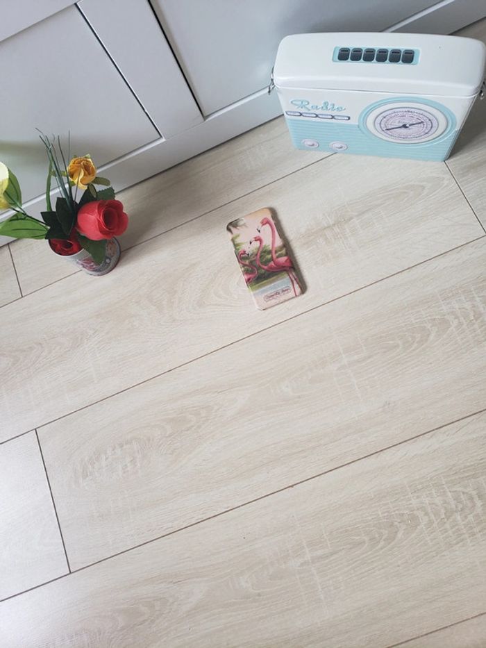 Coque iPhone 6 🎀 1€