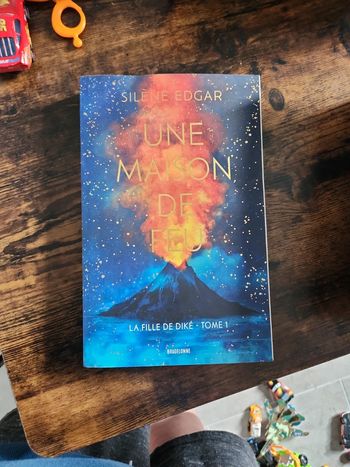 Livre : une maison de feu