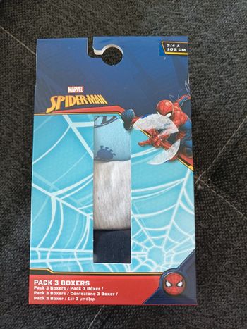 Boxer spiderman