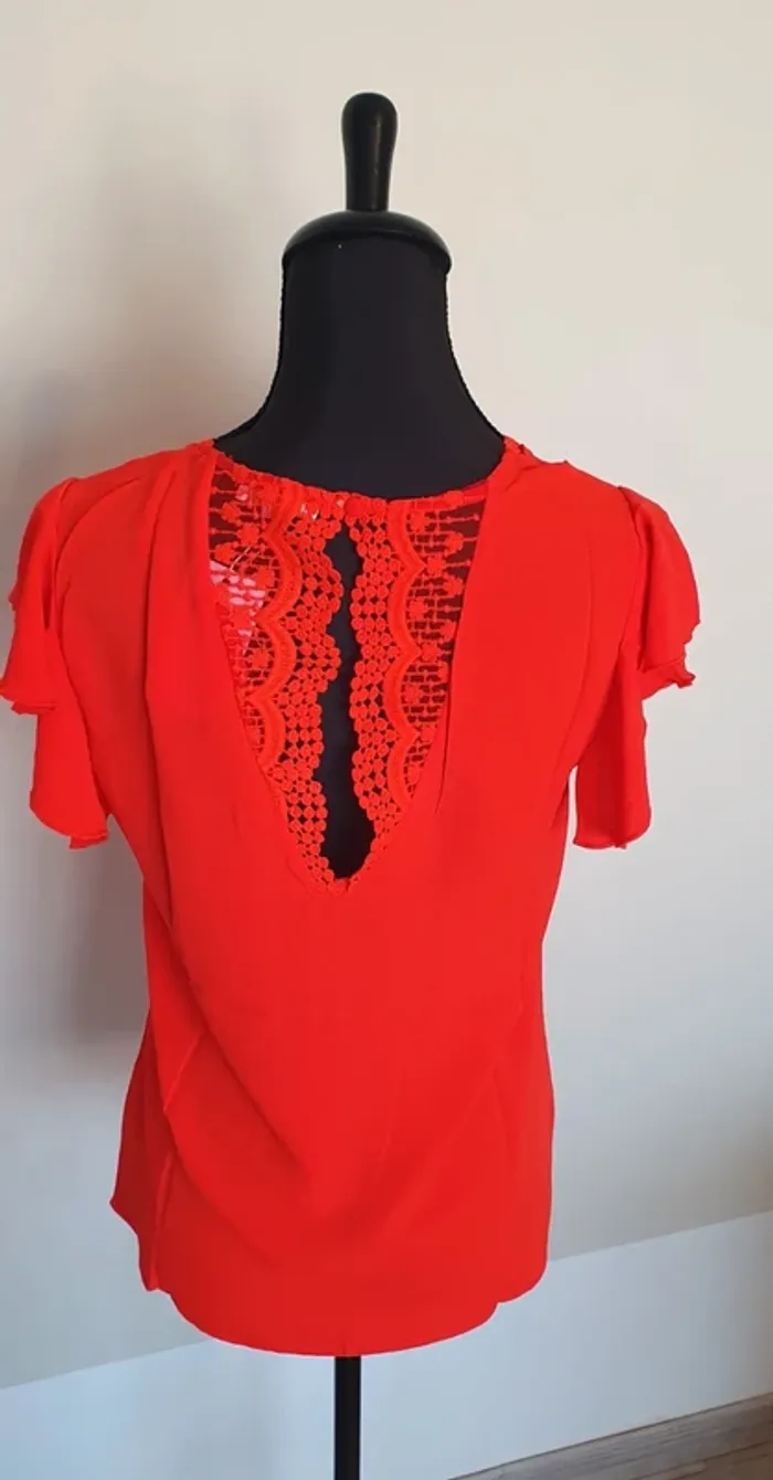 Tee-shirt - photo numéro 5