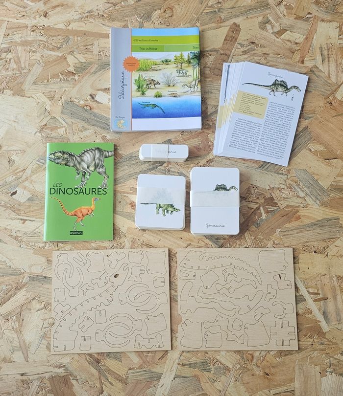 Mon coffret Montessori Dinosaures - photo numéro 5