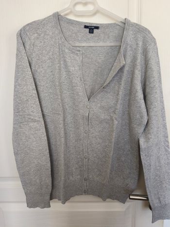 Gilet gris 