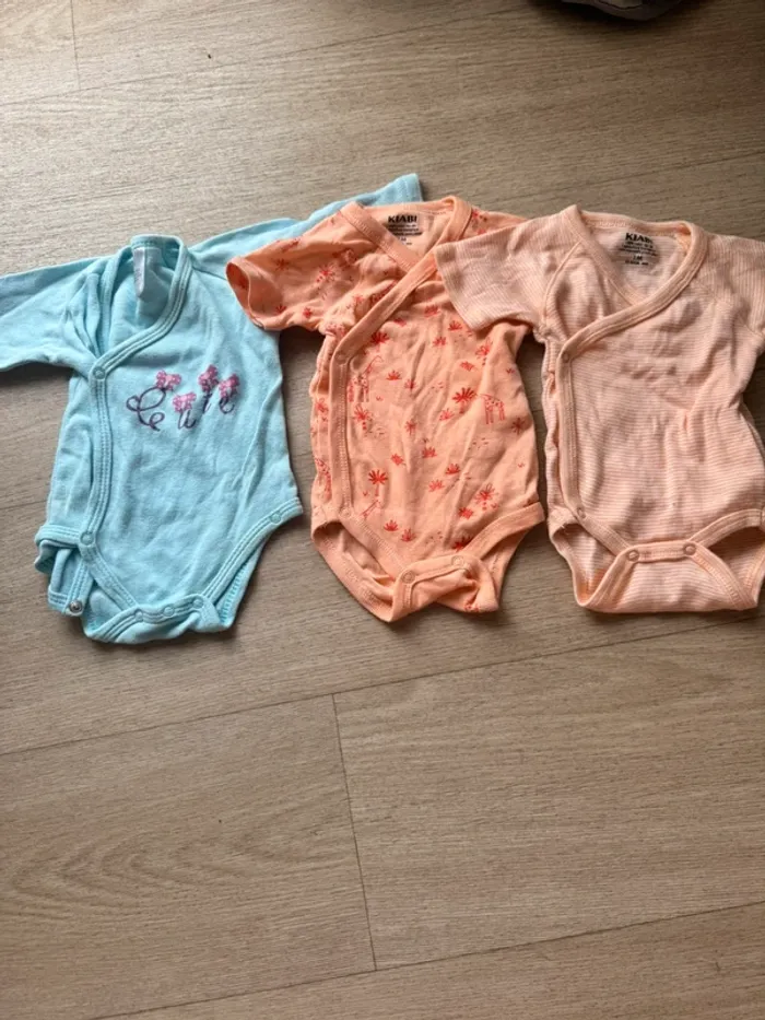 Lot 3 bodies