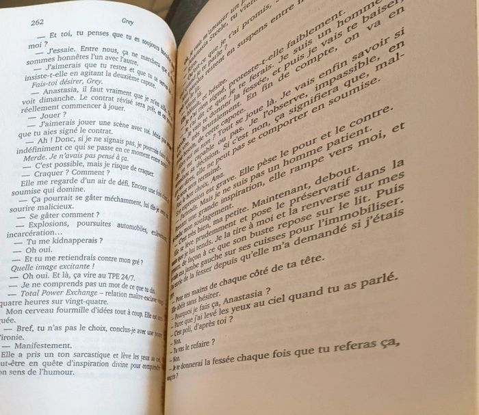 Livre grey - photo numéro 3