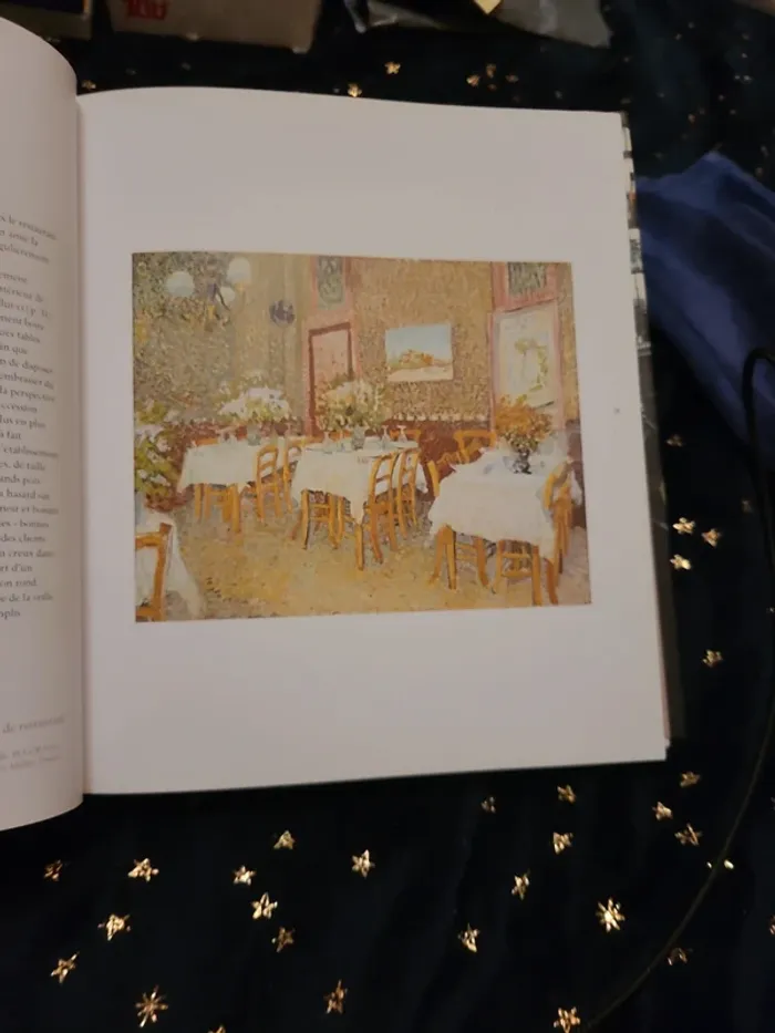 Livre Van Gogh à l'Auberge Ravoux - photo numéro 10
