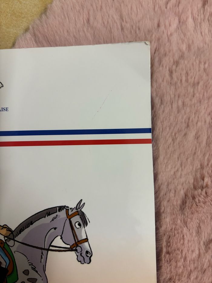 Deux livres d’équitation - photo numéro 4