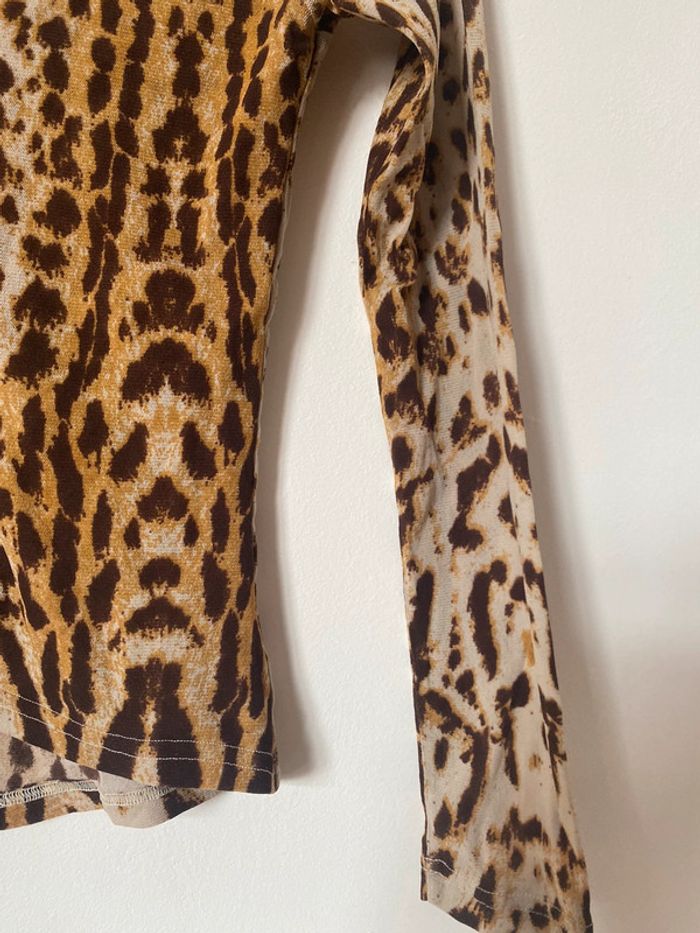 Morgan leopard - photo numéro 7