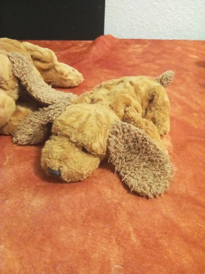 Maman et son bébé chien vintage - photo numéro 4