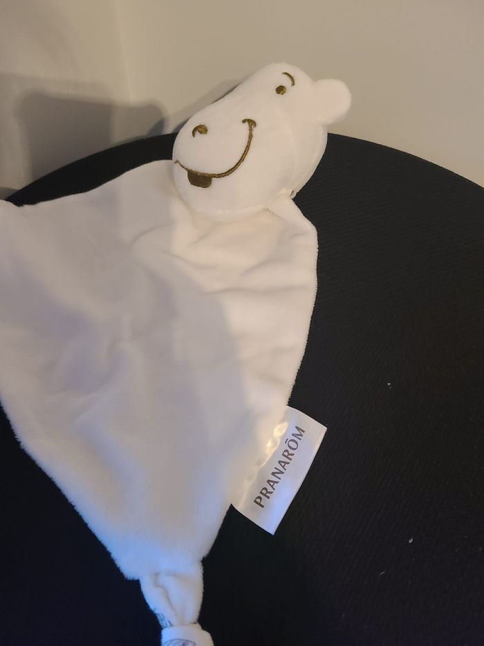 hippopotame - photo numéro 4