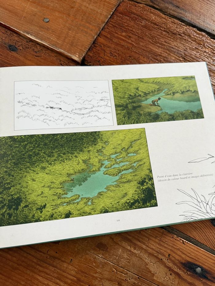 Livre rare Artbook album La Tortue Rouge dessin collector Michael Dudok de Wit - photo numéro 9