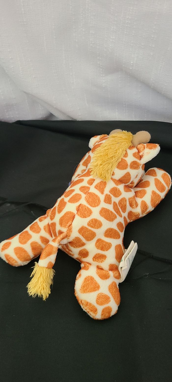 Nature planète girafe - photo numéro 5