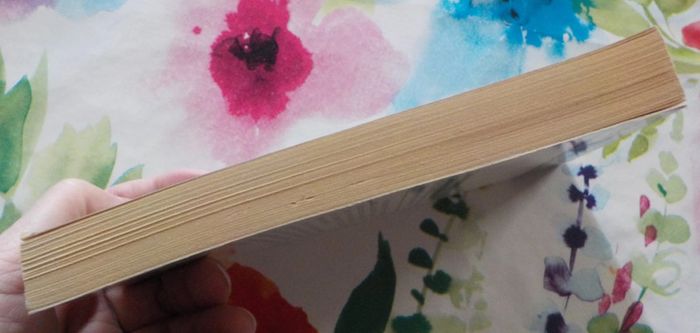 Troublez-moi ce soir de Charlotte Armstrong Ed. J'ai Lu Policier - photo numéro 4