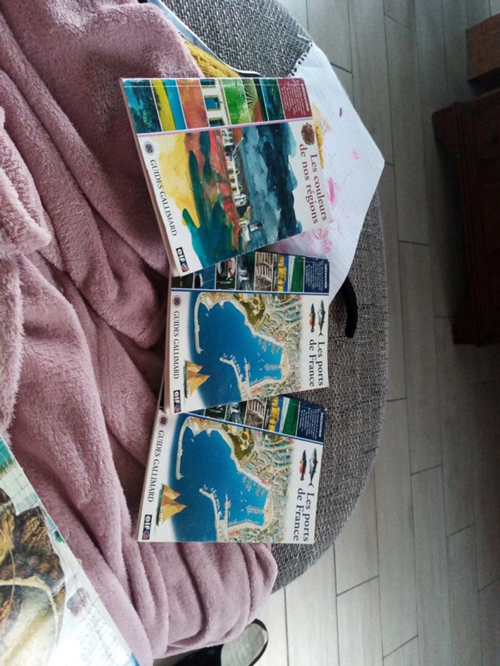 3 guides gallimard