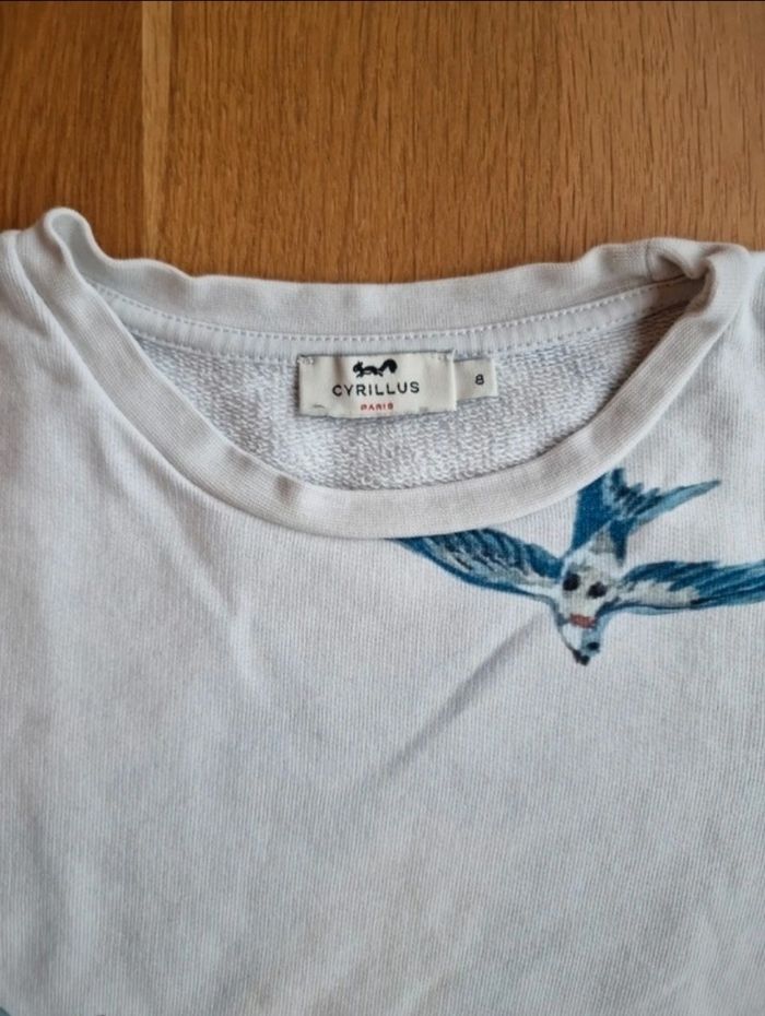 Pull. - photo numéro 2