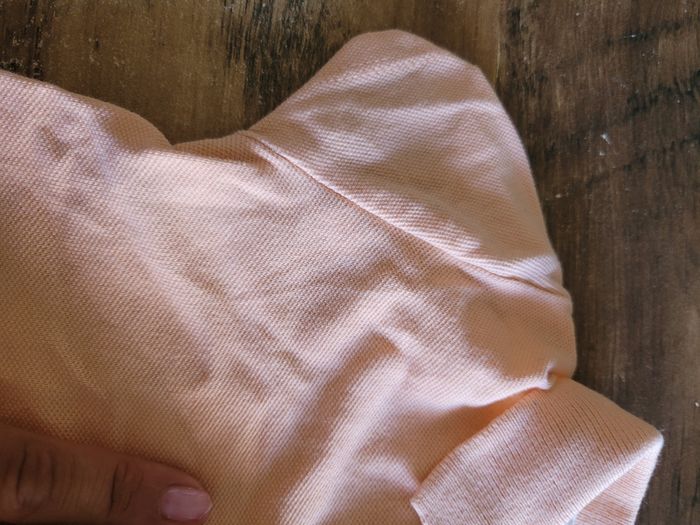 Polo - photo numéro 5