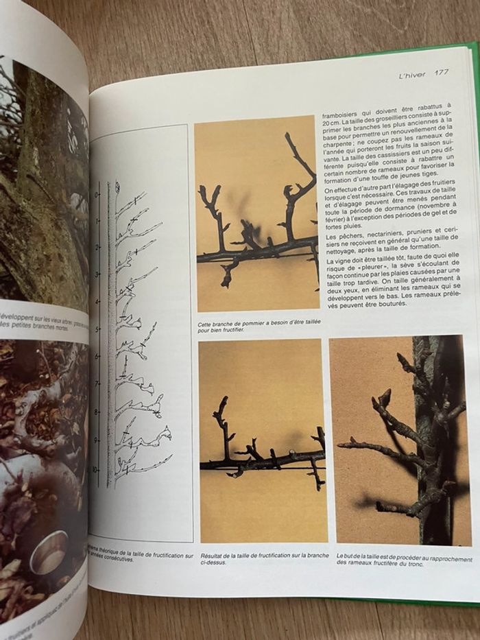 Calendrier du jardinage - photo numéro 5