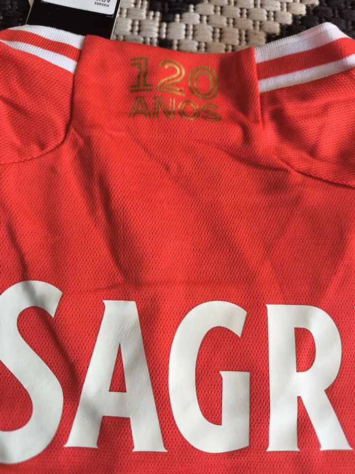 T shirt foot taille L Adidas domicile benfica neuf - photo numéro 5