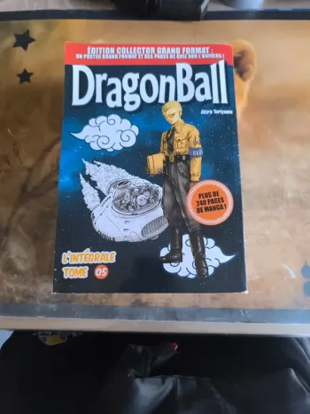 Livre dbz