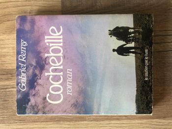 Roman "Cochebille" Gabriel Remy