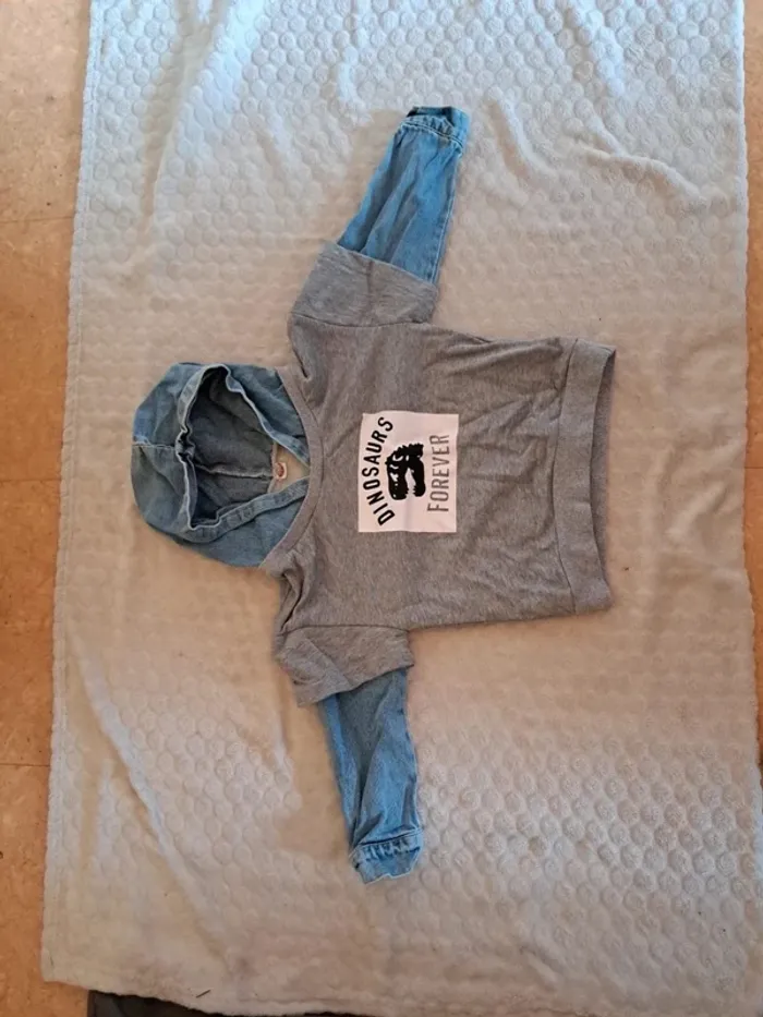 Sweat capuche enfant 3 ans – motif dinosaure