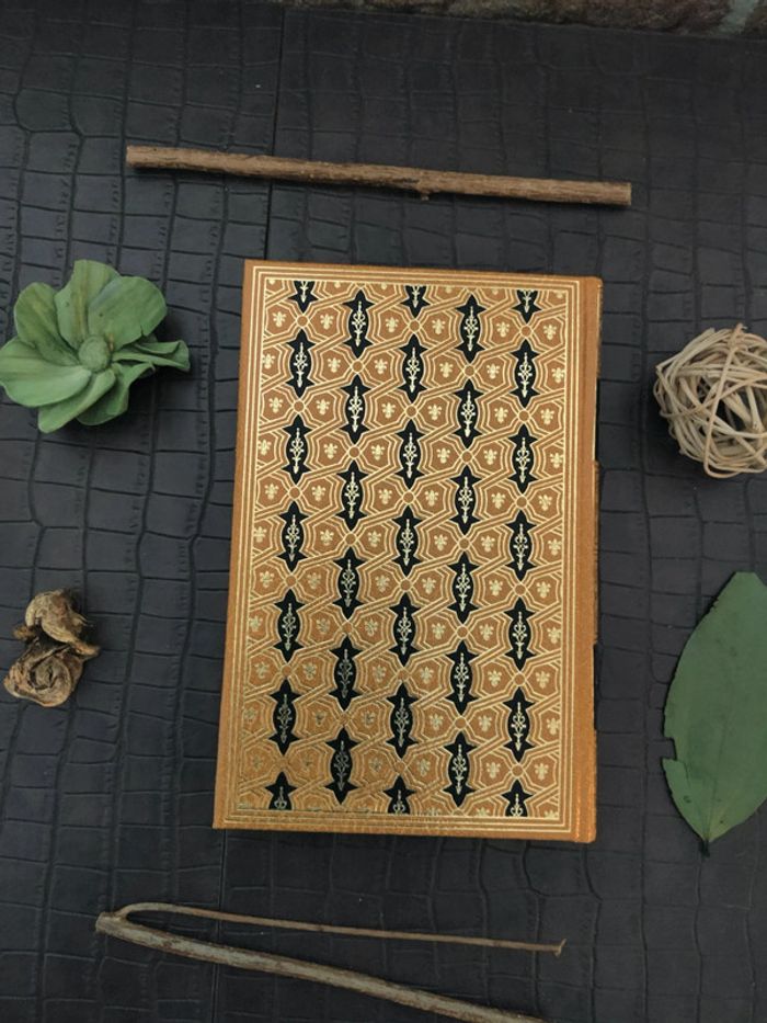 Emilie Zola - Lot de 38 livres / Éditions Famot 1979 - photo numéro 4