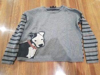 Pull avec chien