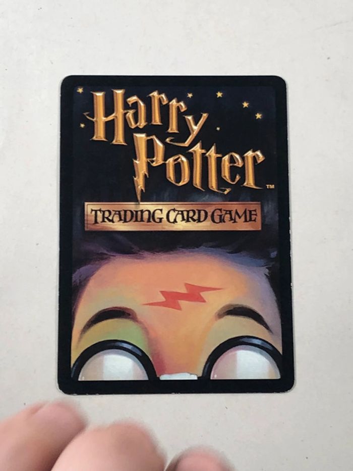 Carte harry potter prendre racine - photo numéro 2