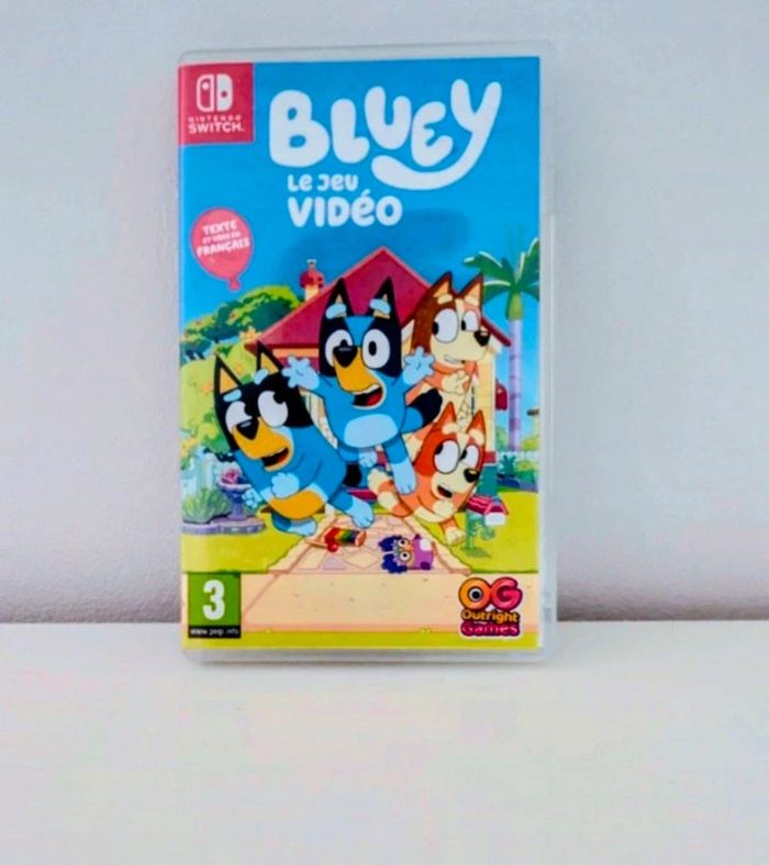 Bluey Switch