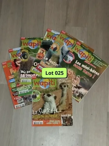Lot de 7 magazines Wapiti année 2008-09 L025