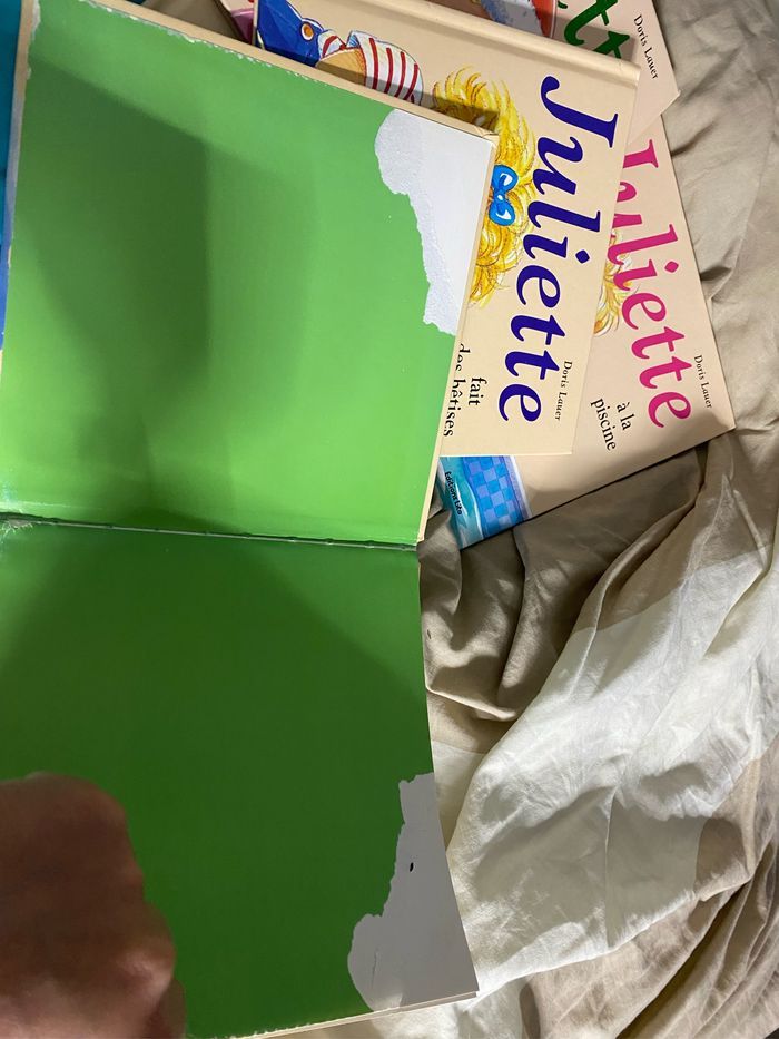 Lot  de 9  livres Juliette - photo numéro 8