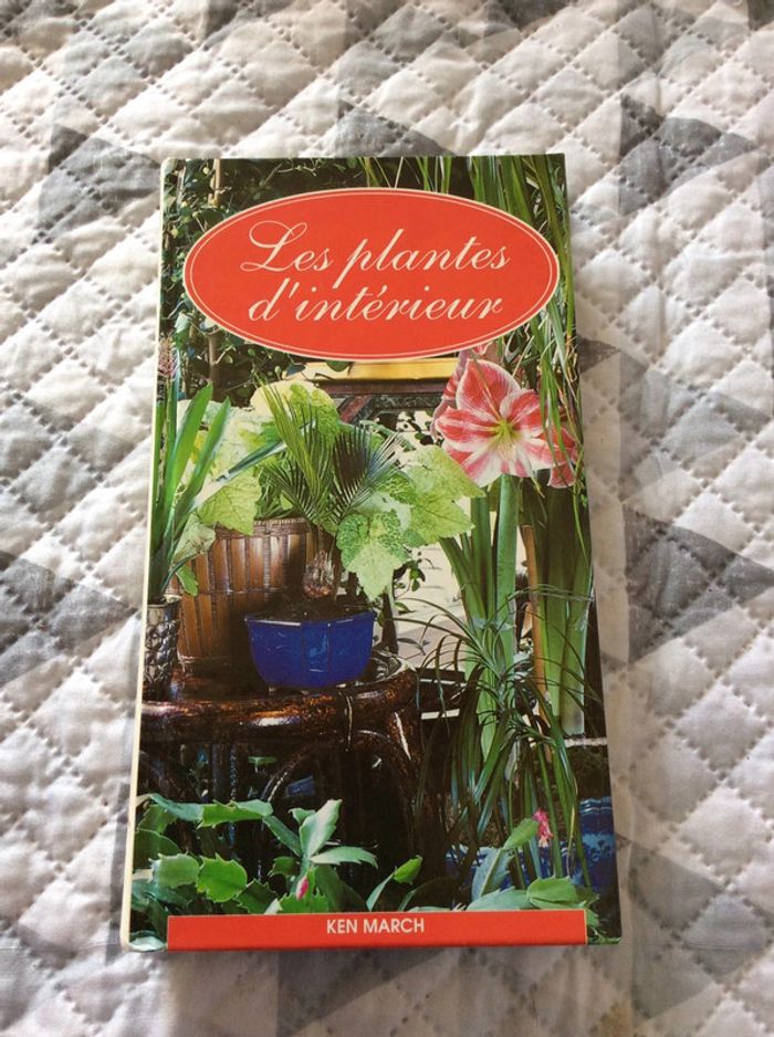 #les plantes d’intérieur Ken March